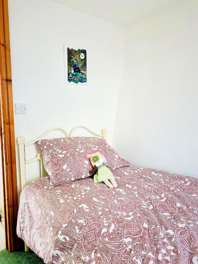 Higher Primrose Cottage Winkleigh Екстериор снимка