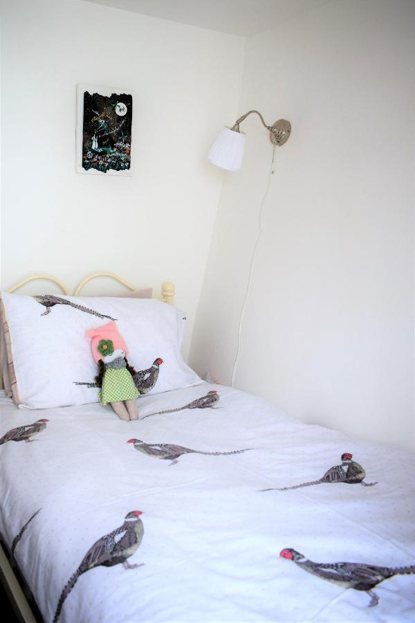 Higher Primrose Cottage Winkleigh Екстериор снимка