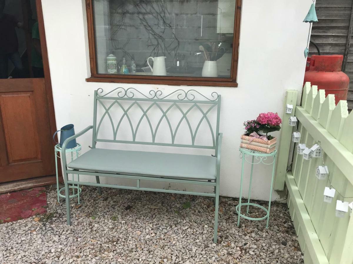 Higher Primrose Cottage Winkleigh Екстериор снимка